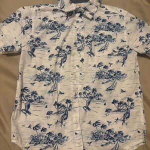 Gymboree Blue and White Casual Button Down Shirt